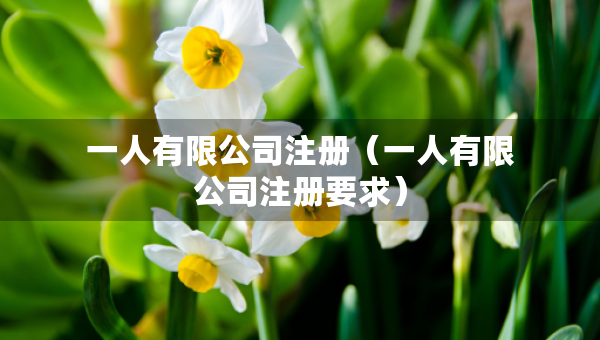 一人有限公司注册（一人有限公司注册要求）