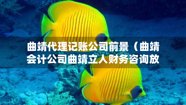 曲靖代理记账公司前景（曲靖会计公司曲靖立人财务咨询放心）