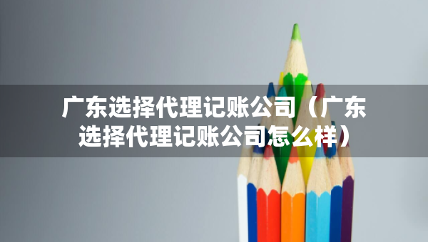 广东选择代理记账公司（广东选择代理记账公司怎么样）