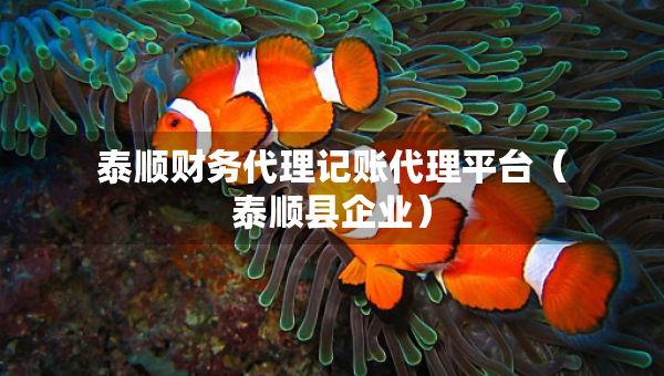 泰顺财务代理记账代理平台（泰顺县企业）