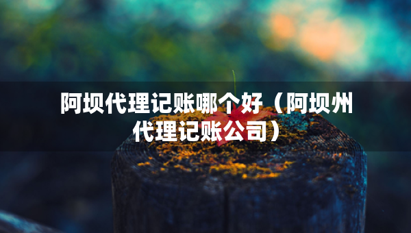 阿坝代理记账哪个好（阿坝州代理记账公司）