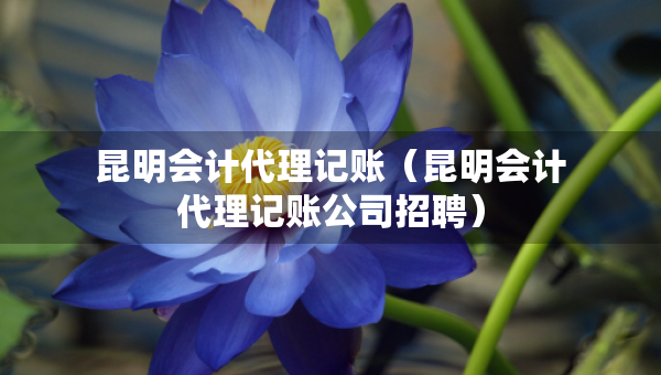 昆明会计代理记账（昆明会计代理记账公司招聘）