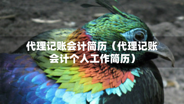 代理记账会计简历（代理记账会计个人工作简历）