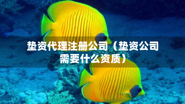 垫资代理注册公司（垫资公司需要什么资质）