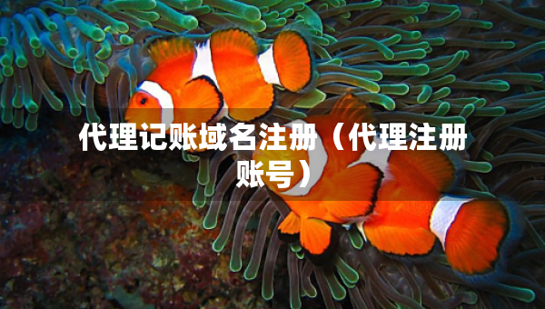 代理记账域名注册（代理注册账号）