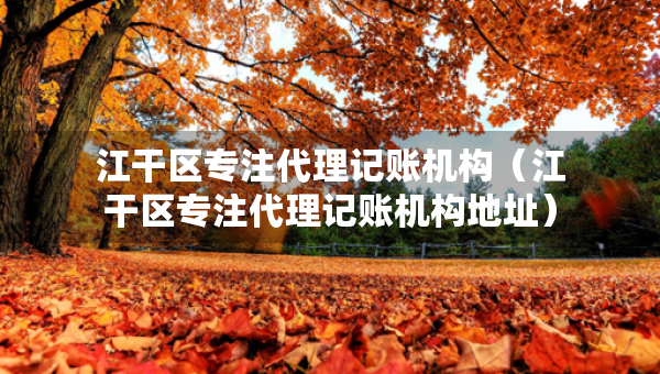 江干区专注代理记账机构（江干区专注代理记账机构地址）