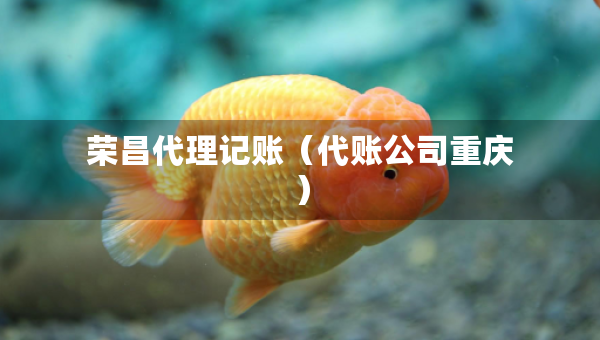 荣昌代理记账（代账公司重庆）