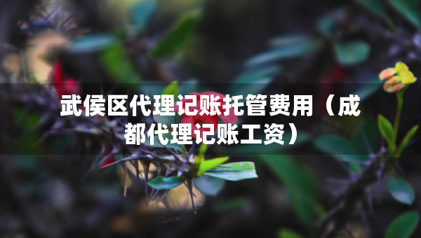 武侯区代理记账托管费用（成都代理记账工资）