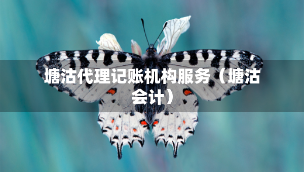 塘沽代理记账机构服务（塘沽会计）