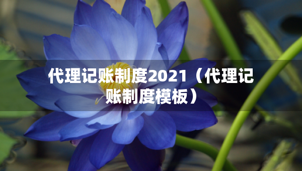代理记账制度2021（代理记账制度模板）