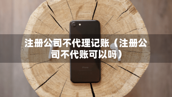 注册公司不代理记账（注册公司不代账可以吗）