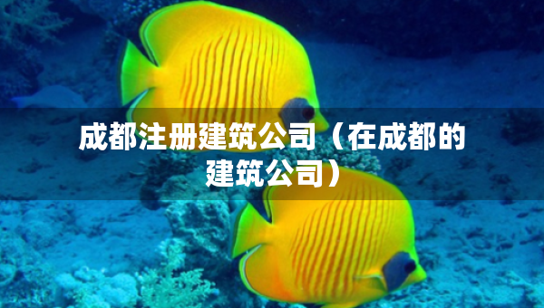 成都注册建筑公司（在成都的建筑公司）