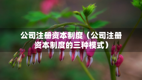 公司注册资本制度（公司注册资本制度的三种模式）