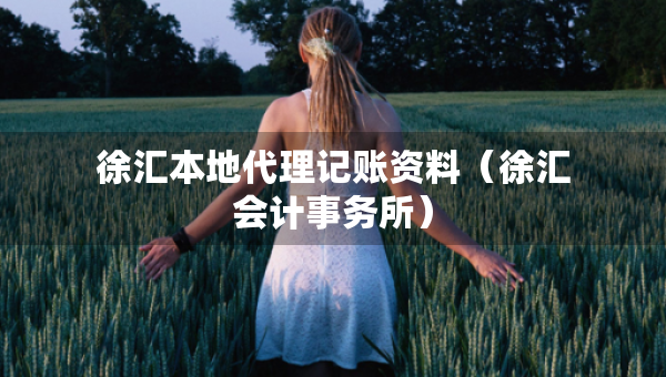 徐汇本地代理记账资料（徐汇会计事务所）