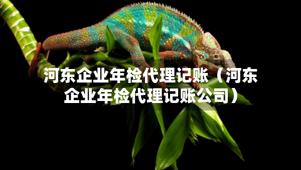 河东企业年检代理记账（河东企业年检代理记账公司）