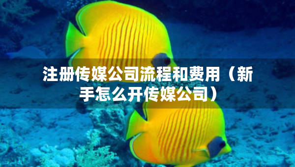 注册传媒公司流程和费用（新手怎么开传媒公司）