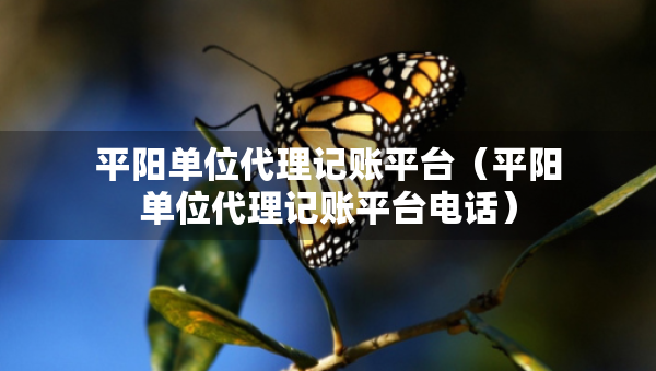 平阳单位代理记账平台（平阳单位代理记账平台电话）