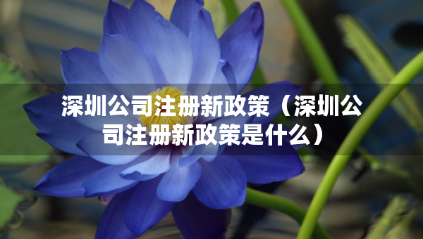 深圳公司注册新政策（深圳公司注册新政策是什么）