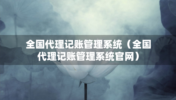 全国代理记账管理系统（全国代理记账管理系统官网）