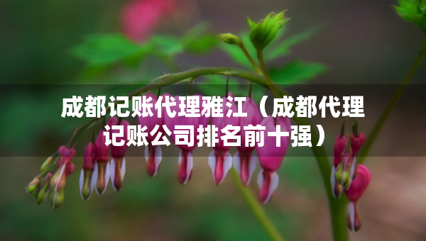 成都记账代理雅江（成都代理记账公司排名前十强）