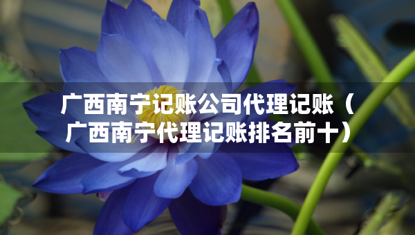 广西南宁记账公司代理记账（广西南宁代理记账排名前十）
