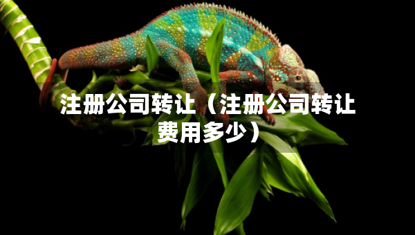 注册公司转让（注册公司转让费用多少）