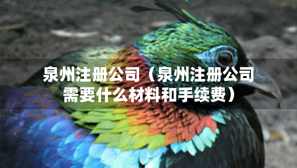 泉州注册公司（泉州注册公司需要什么材料和手续费）