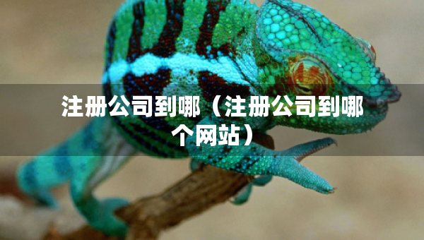 注册公司到哪（注册公司到哪个网站）