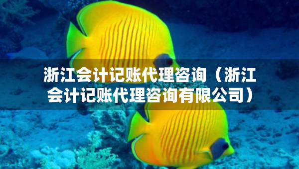 浙江会计记账代理咨询（浙江会计记账代理咨询有限公司）