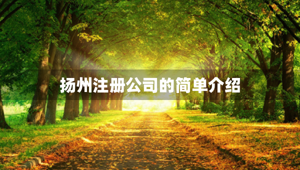 扬州注册公司的简单介绍
