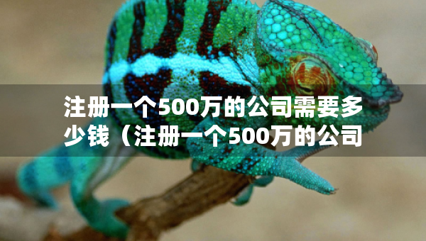 注册一个500万的公司需要多少钱（注册一个500万的公司需要多少钱费用）