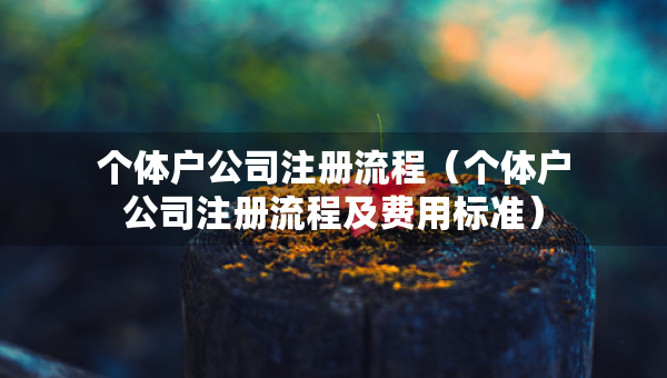 个体户公司注册流程（个体户公司注册流程及费用标准）