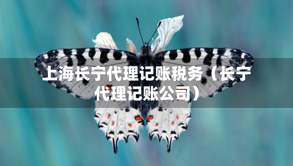 上海长宁代理记账税务（长宁代理记账公司）