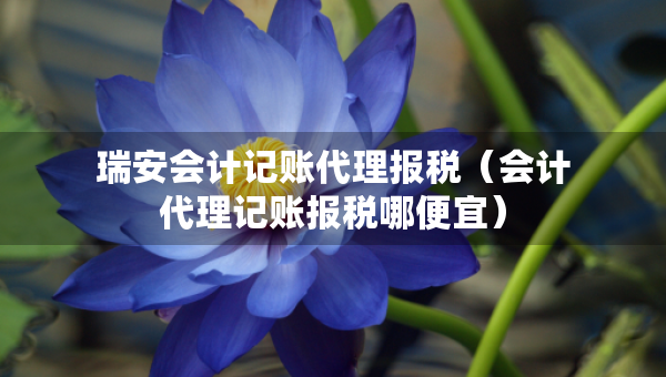 瑞安会计记账代理报税（会计代理记账报税哪便宜）