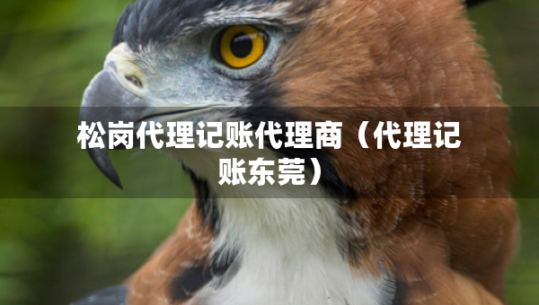 松岗代理记账代理商（代理记账东莞）