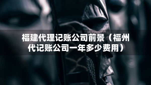 福建代理记账公司前景（福州代记账公司一年多少费用）