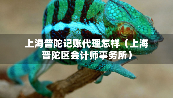 上海普陀记账代理怎样（上海普陀区会计师事务所）