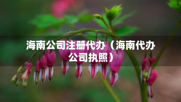 海南公司注册代办（海南代办公司执照）