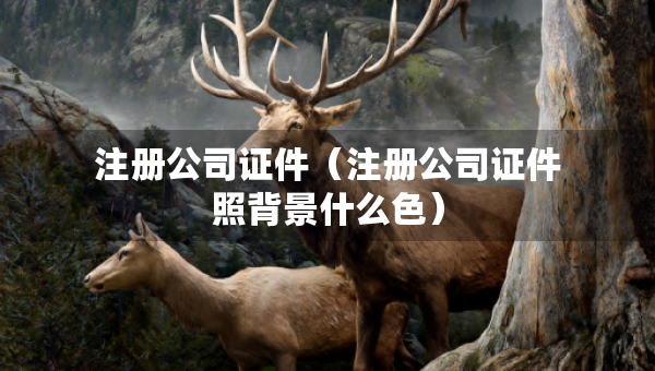 注册公司证件（注册公司证件照背景什么色）