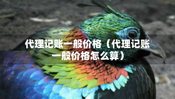 代理记账一般价格（代理记账一般价格怎么算）