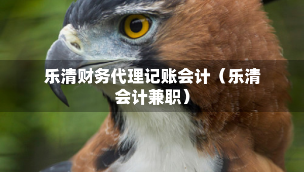 乐清财务代理记账会计（乐清会计兼职）