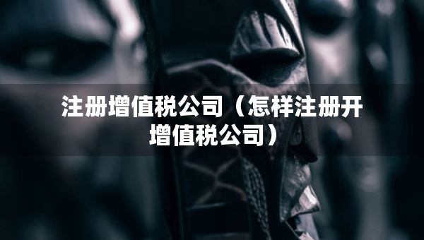 注册增值税公司（怎样注册开增值税公司）
