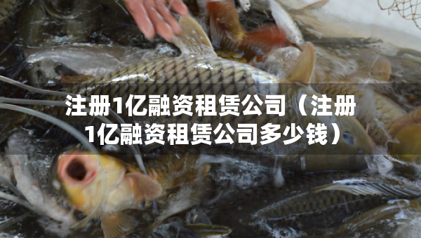 注册1亿融资租赁公司（注册1亿融资租赁公司多少钱）