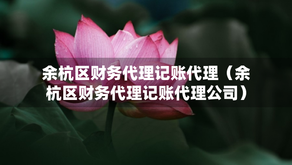 余杭区财务代理记账代理（余杭区财务代理记账代理公司）