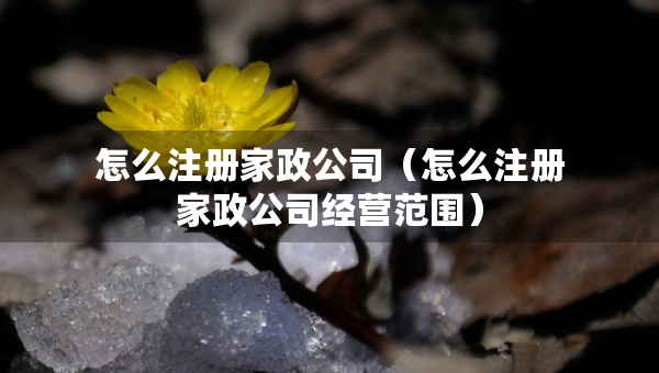 怎么注册家政公司（怎么注册家政公司经营范围）