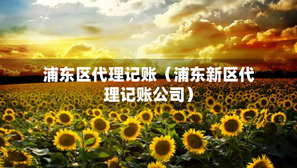 浦东区代理记账（浦东新区代理记账公司）