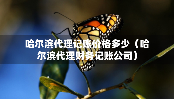 哈尔滨代理记账价格多少（哈尔滨代理财务记账公司）