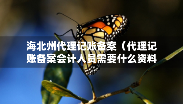 海北州代理记账备案（代理记账备案会计人员需要什么资料）