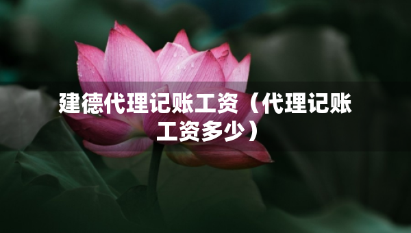 建德代理记账工资（代理记账工资多少）