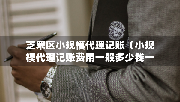 芝罘区小规模代理记账（小规模代理记账费用一般多少钱一个月）